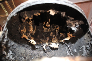 IMG_8383.JPGのサムネイル画像