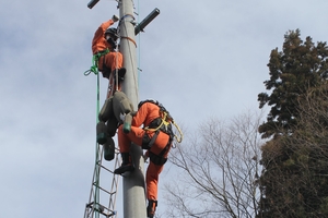電柱からの救出